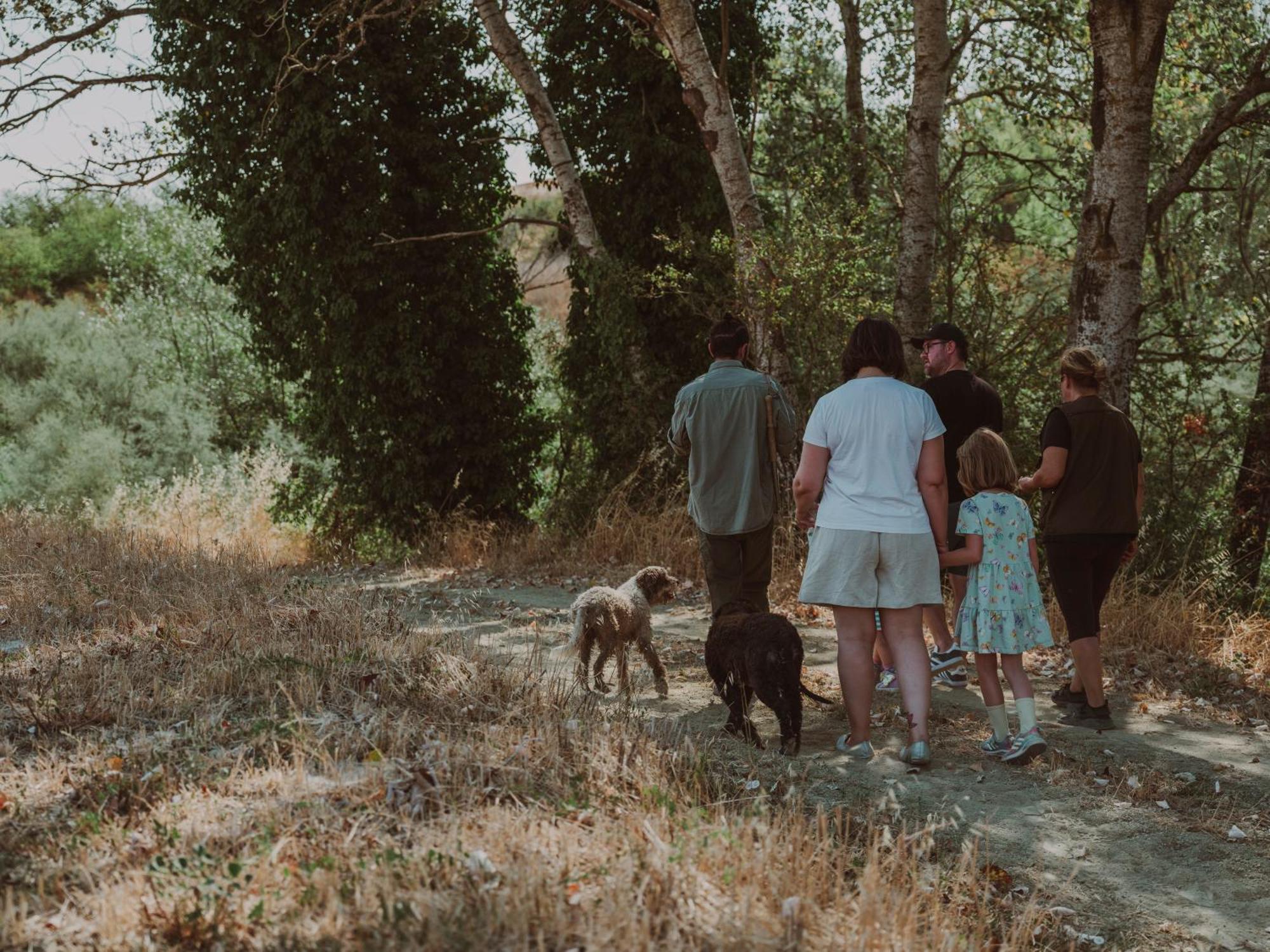 Agriturismo Pelagaccio Peccioli Kültér fotó